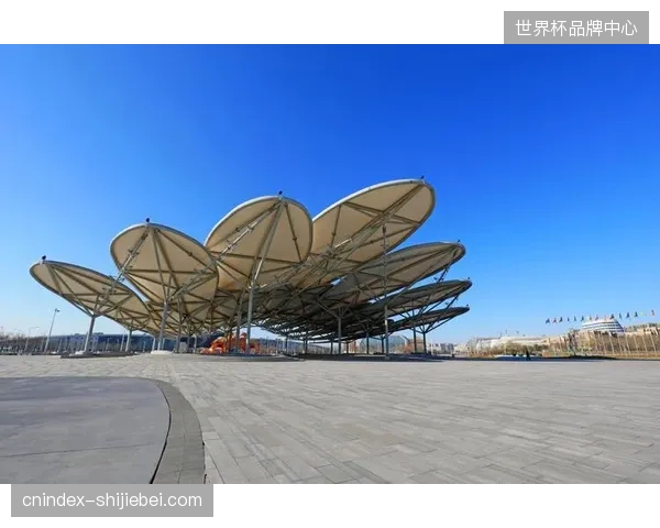 奥林匹克公园场馆群持续的高昂维护费用，为何难以支撑起周边大众赛事运营的高效产出？